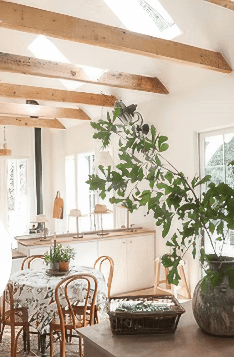 How Skylights and Sun Tunnels Improve Natural Light, Energy Efficiency, and Home Value